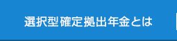 選択型確定拠出年金とは